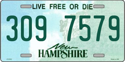 NH license plate 3097579