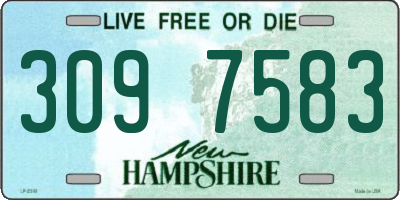 NH license plate 3097583