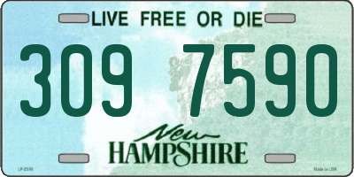 NH license plate 3097590
