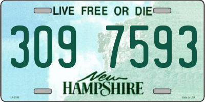 NH license plate 3097593