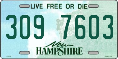 NH license plate 3097603