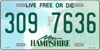 NH license plate 3097636