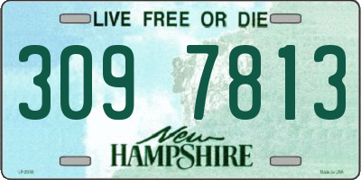 NH license plate 3097813