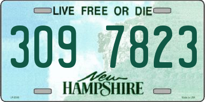 NH license plate 3097823