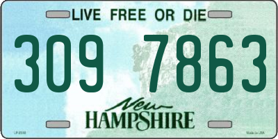 NH license plate 3097863