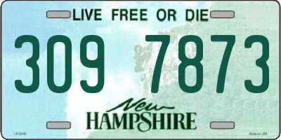 NH license plate 3097873