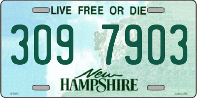 NH license plate 3097903