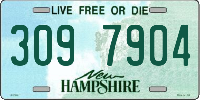 NH license plate 3097904