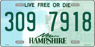 NH license plate 3097918