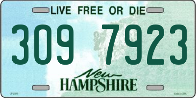 NH license plate 3097923