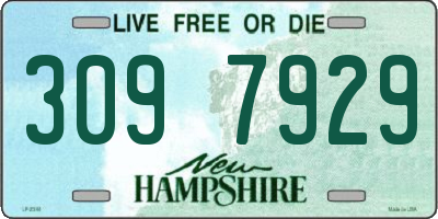 NH license plate 3097929