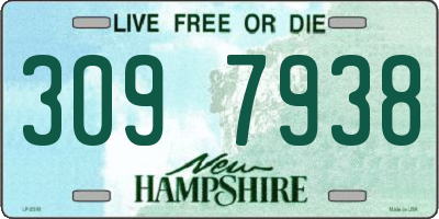 NH license plate 3097938