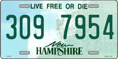 NH license plate 3097954
