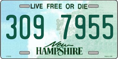 NH license plate 3097955