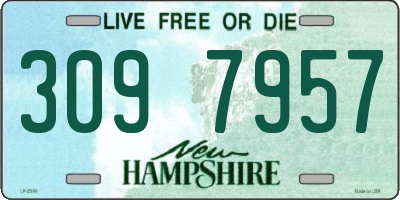 NH license plate 3097957
