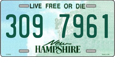 NH license plate 3097961