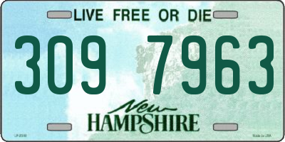 NH license plate 3097963