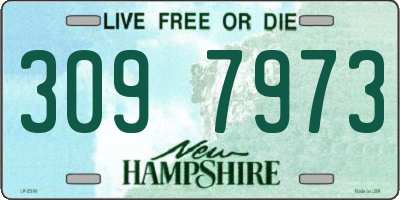 NH license plate 3097973