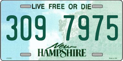 NH license plate 3097975