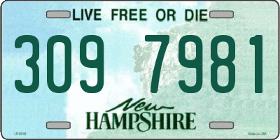NH license plate 3097981