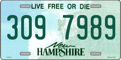 NH license plate 3097989