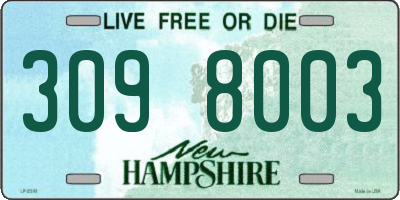 NH license plate 3098003