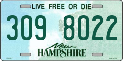 NH license plate 3098022