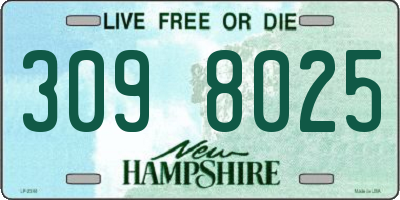NH license plate 3098025