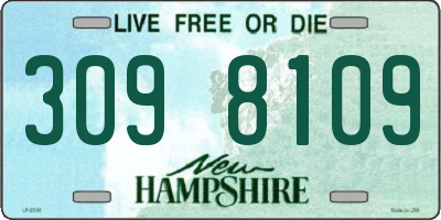 NH license plate 3098109