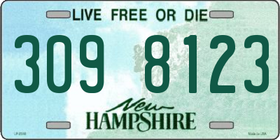 NH license plate 3098123
