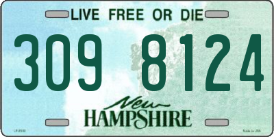 NH license plate 3098124