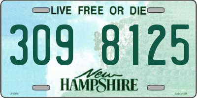 NH license plate 3098125