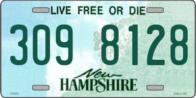 NH license plate 3098128