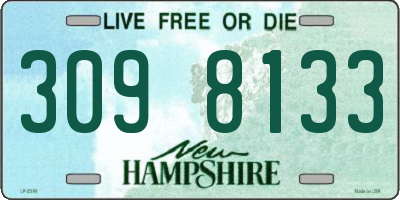NH license plate 3098133