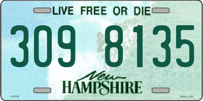 NH license plate 3098135