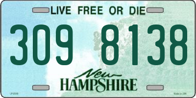 NH license plate 3098138