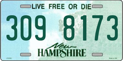 NH license plate 3098173