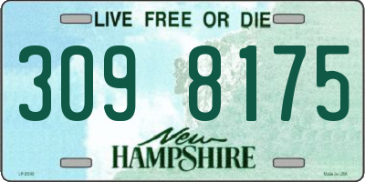 NH license plate 3098175