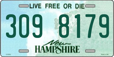 NH license plate 3098179