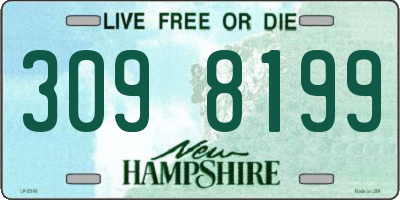 NH license plate 3098199