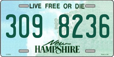 NH license plate 3098236
