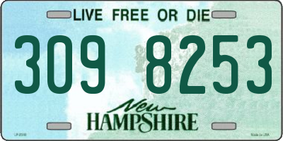 NH license plate 3098253