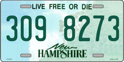 NH license plate 3098273