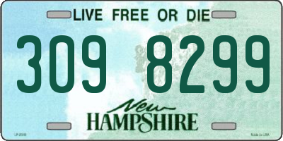 NH license plate 3098299