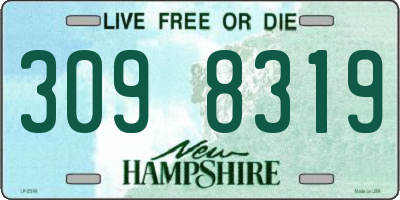 NH license plate 3098319