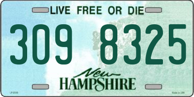 NH license plate 3098325