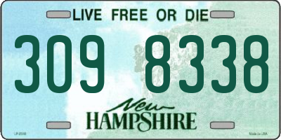 NH license plate 3098338