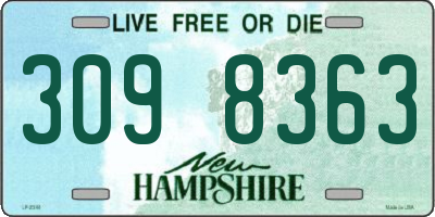 NH license plate 3098363