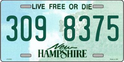 NH license plate 3098375