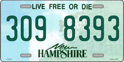 NH license plate 3098393